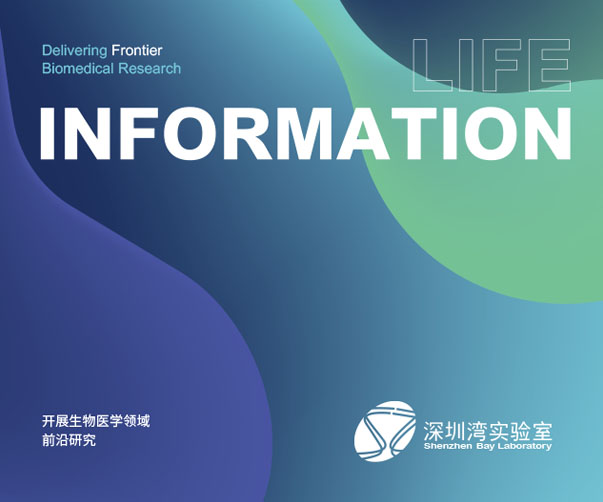 炸雞翅包裝設計