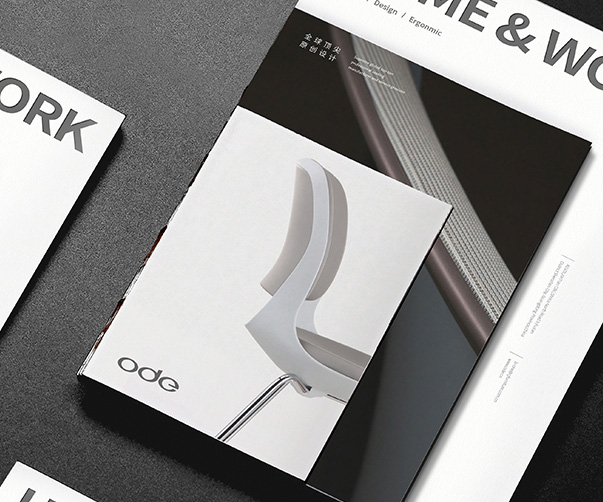 紅燒獅子頭包裝設計